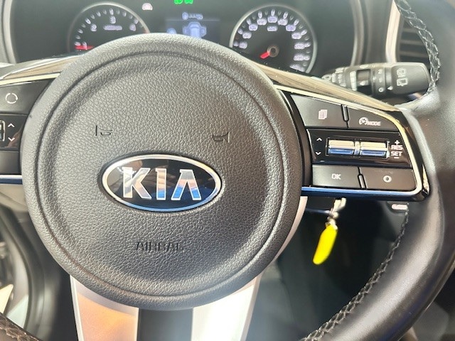 KIA Sportage 4ª serie Sportage 1.6 CRDI 136 CV DCT7 2WD Mild Hybrid Business Class