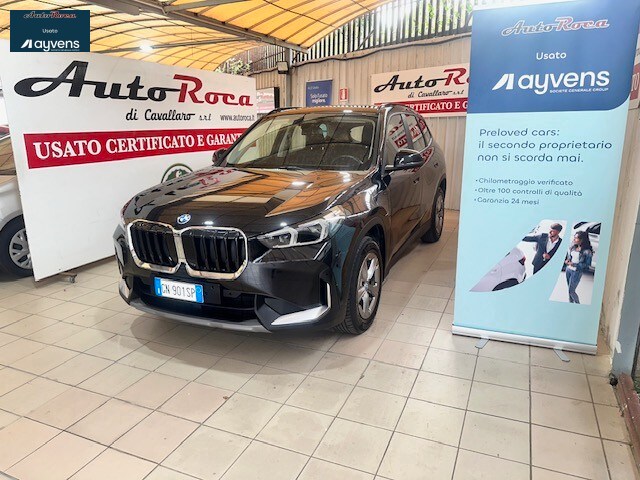 BMW X1            (U11)