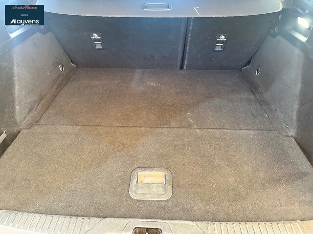 FORD Focus 4ª serie Focus 1.5 EcoBlue 120 CV automatico SW Business